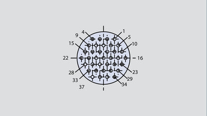 Insert arrangement of military connector in the form 12-37